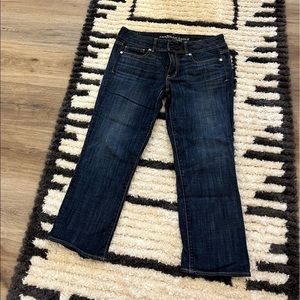 Artist Crop Stretch Jeans